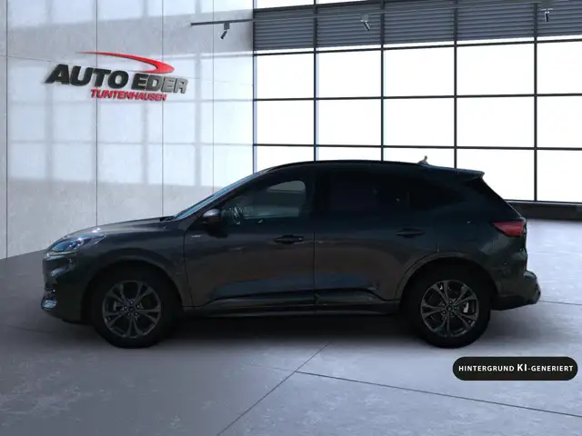 Ford Kuga view 12