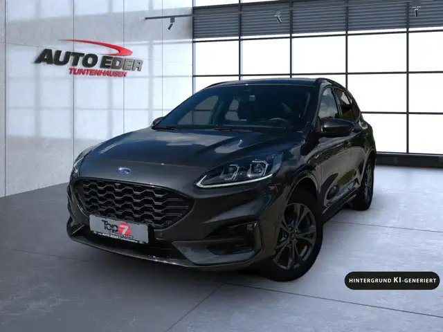 Ford Kuga view 2