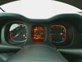 Fiat Panda Hybrid Cross 1.0 Mild Hybrid 69CV Bianco - thumbnail 12
