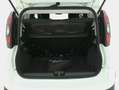 Fiat Panda Hybrid Cross 1.0 Mild Hybrid 69CV Bianco - thumbnail 14