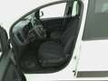 Fiat Panda Hybrid Cross 1.0 Mild Hybrid 69CV Bianco - thumbnail 10