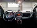 Fiat Panda 0.9 TwinAir Turbo Natural Power City Life 5 PORTE - thumbnail 7