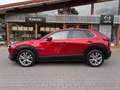 Mazda CX-30 Selection 150PS*AHK*BOSE*Abstandstempomat*360°Kame Rot - thumbnail 2