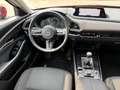 Mazda CX-30 Selection 150PS*AHK*BOSE*Abstandstempomat*360°Kame Rot - thumbnail 8
