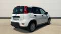 Fiat Panda 1.0 Gse Hybrid - thumbnail 4