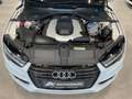 Audi A7 3.0 TDI S line competition S Sitze HuD Luftf. Weiß - thumbnail 27