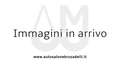 Skoda Fabia Fabia 1.0 MPI 60 CV Business NEOP. P.ZO REALE Blu/Azzurro - thumbnail 3