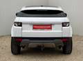 Land Rover Range Rover Evoque Prestige Erstbesitz Weiß - thumbnail 5