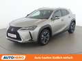 Lexus UX 250h UX 250h Style Edition Grau - thumbnail 1