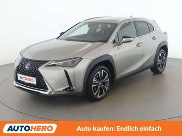 UX 250h Style Edition