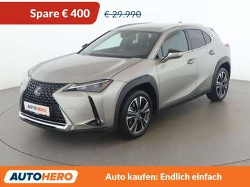 UX 250h Style Edition