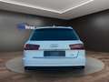 Audi A6 Avant 3.0 TDI quattro ACC°PANO°KAMERA°LEDER Weiß - thumbnail 5