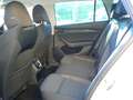 Skoda Octavia Wagon 2.0 tdi evo Executive 4x4 150cv dsg Blanc - thumbnail 12