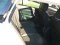 Skoda Octavia Wagon 2.0 tdi evo Executive 4x4 150cv dsg Blanc - thumbnail 15