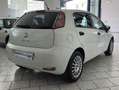 Fiat Punto Punto III 2012 5p 1.3 mjt II 16v Lounge 75cv my13 Wit - thumbnail 5