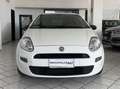 Fiat Punto Punto III 2012 5p 1.3 mjt II 16v Lounge 75cv my13 Blanc - thumbnail 13