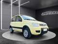 Fiat Panda Panda 1.2 Climbing 4x4 Giallo - thumbnail 7