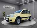 Fiat Panda Panda 1.2 Climbing 4x4 Giallo - thumbnail 1