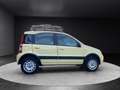 Fiat Panda Panda 1.2 Climbing 4x4 Giallo - thumbnail 8