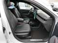 Ford Mustang Mach-E Premium 4X4 PANO ACC TECHNO-PLUS Weiß - thumbnail 11