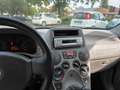 Fiat Panda Panda 1.2 Climbing 4x4 Silber - thumbnail 11
