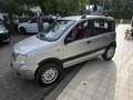 Fiat Panda Panda 1.2 Climbing 4x4 Silber - thumbnail 6