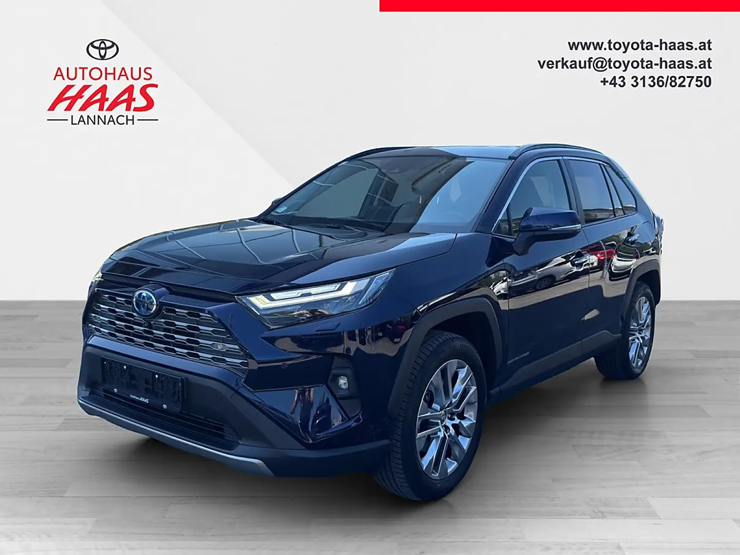 Toyota RAV 4 RAV4 2,5 Hybrid VIP AWD Blau - 1