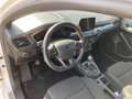 Ford Focus ST-Line Weiß - thumbnail 8