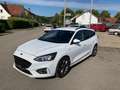 Ford Focus ST-Line Weiß - thumbnail 1