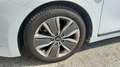 Hyundai IONIQ 1.6 GDI HEV Tecno DCT Blanco - thumbnail 13