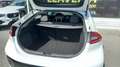 Hyundai IONIQ 1.6 GDI HEV Tecno DCT Blanco - thumbnail 49