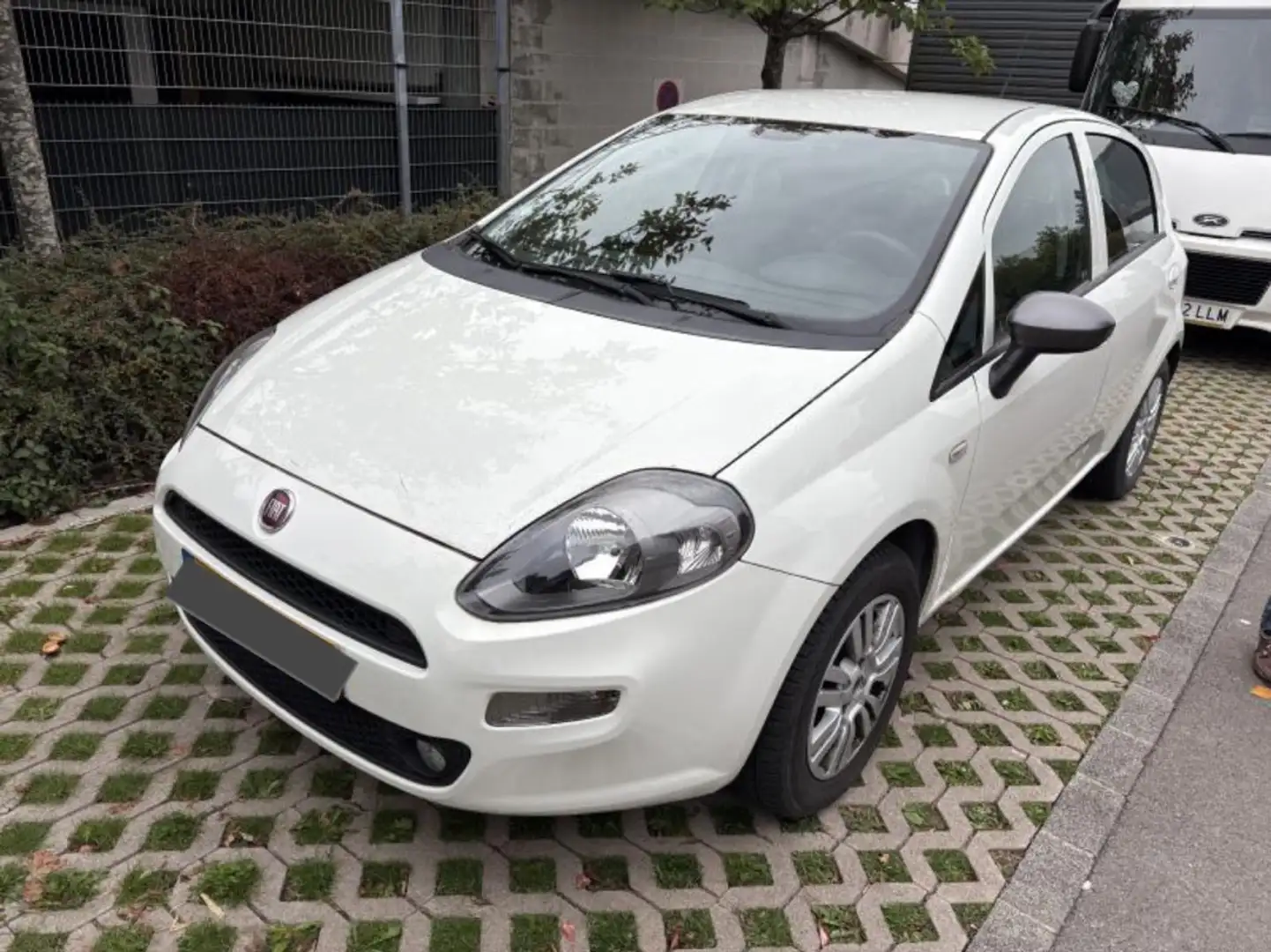 Fiat Punto 1.2i 1er Propriétaire Garantie 12 mois Blanc - 1