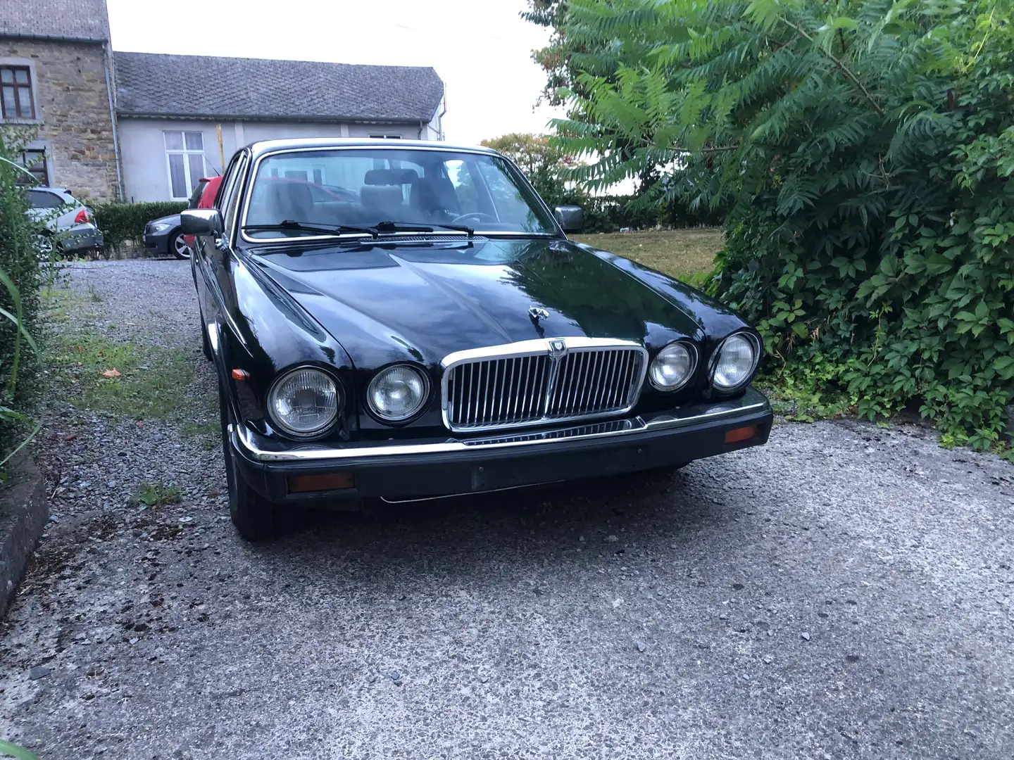 Jaguar XJ12 5,2l  V12 ancêtre - 2