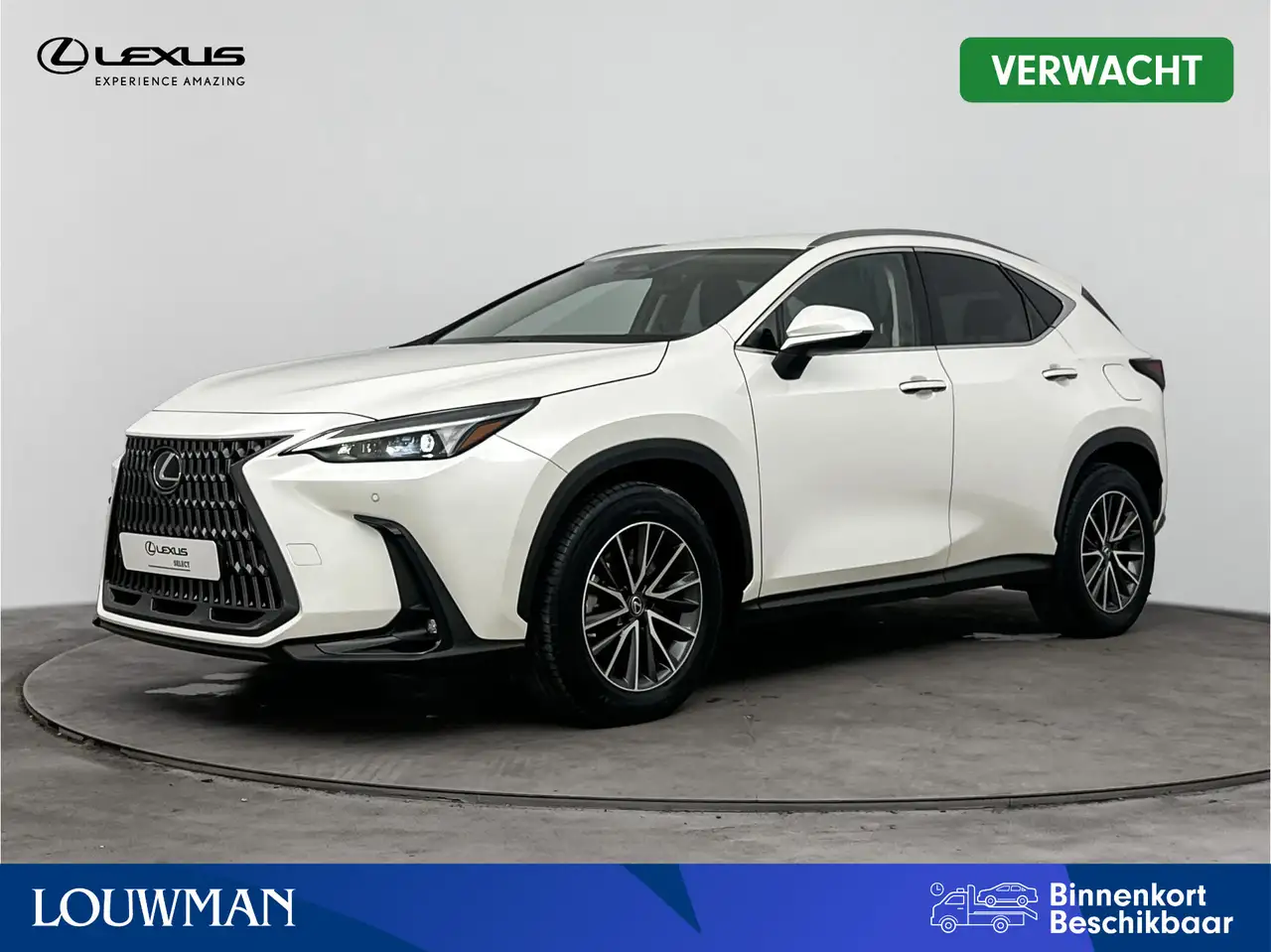 Lexus NX 450h+