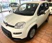 Fiat Panda Base 1.0 GSE Hybrid Weiß - thumbnail 1