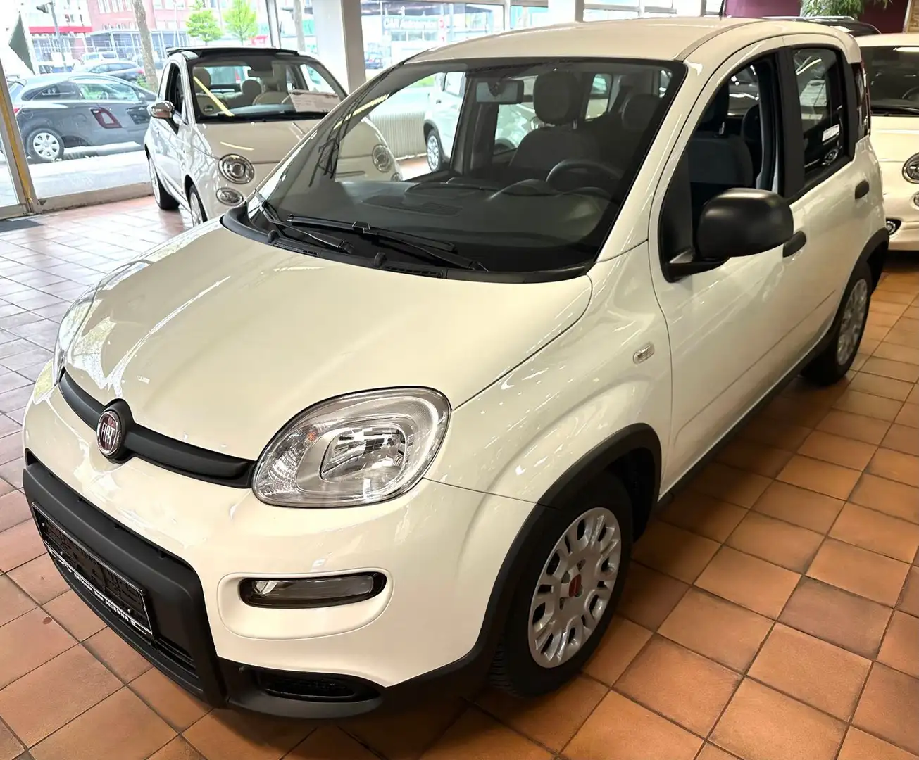 Fiat Panda Base 1.0 GSE Hybrid Weiß - 1