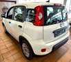 Fiat Panda Base 1.0 GSE Hybrid Weiß - thumbnail 6
