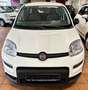 Fiat Panda Base 1.0 GSE Hybrid Weiß - thumbnail 2