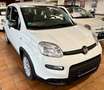 Fiat Panda Base 1.0 GSE Hybrid Weiß - thumbnail 3