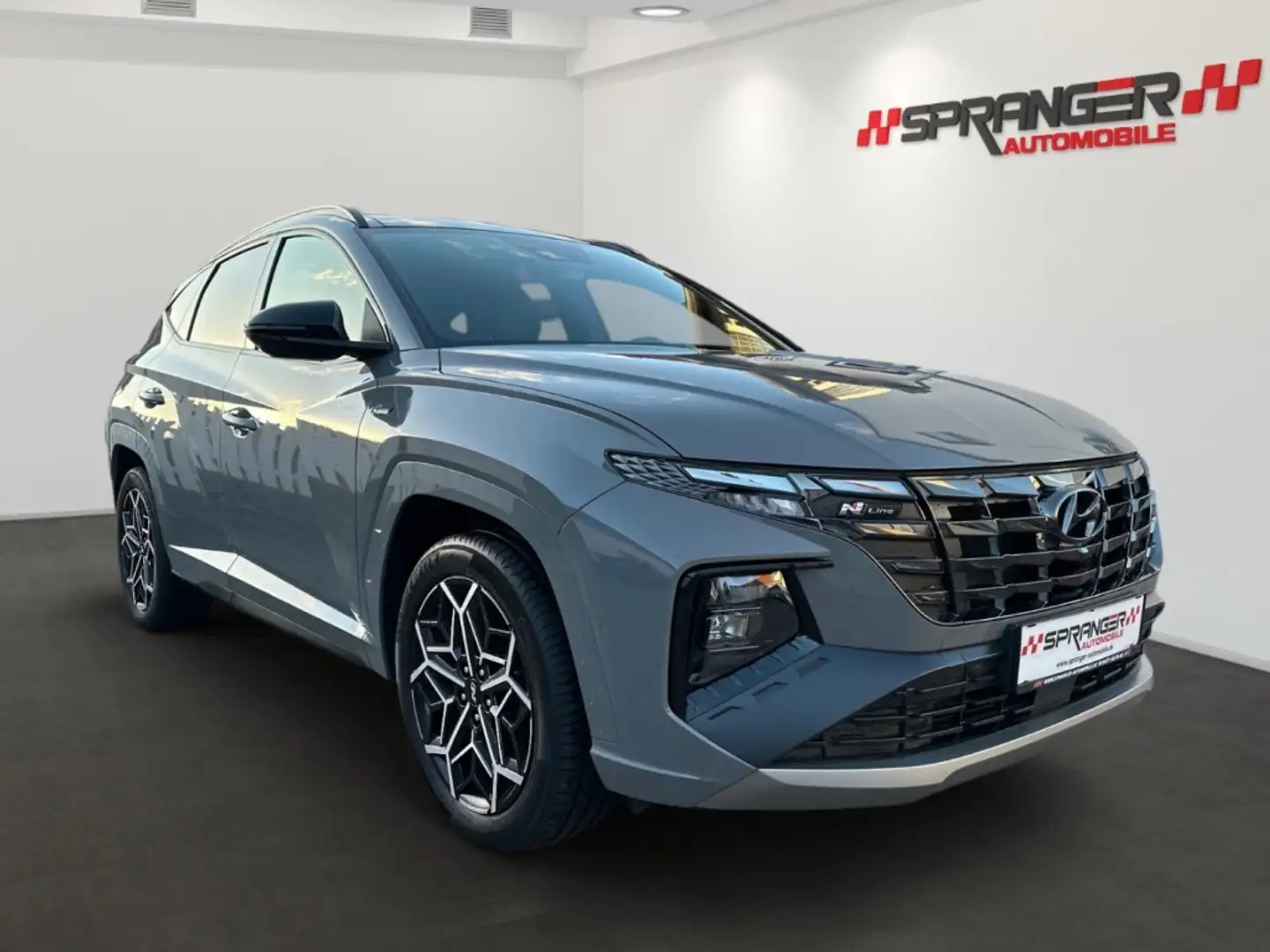 Hyundai TUCSON N Line Hybrid 4WD*Krell*360.Cam*Temp*ACC* Gris - 2