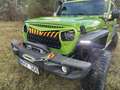 Jeep Wrangler Todoterreno Automático de 5 Puertas Verde - thumbnail 3
