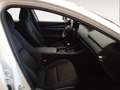 Mazda 3 Evolution Blanco - thumbnail 10
