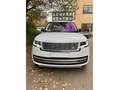 Land Rover Range Rover D350 Autobiography  Mild-Hybrid IAHKIPanoIVOLL Blanc - thumbnail 17