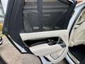Land Rover Range Rover D350 Autobiography  Mild-Hybrid IAHKIPanoIVOLL Blanc - thumbnail 14