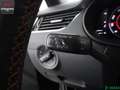 Skoda Octavia Octavia Combi 2.0 TSI RS VIRTUAL,PANORAMA,1.HAND Schwarz - thumbnail 14