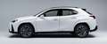 Lexus UX 250h (E-FOUR) F SPORT Blanco - thumbnail 1