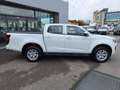 Isuzu D-Max D-Max BB+ 164cv Crew N60BB 4x4 A/T Shutter Lid Blanc - thumbnail 7