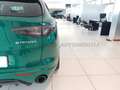 Alfa Romeo Stelvio Stelvio My24 Turbo Diesel 210Cv Tributo Italiano Groen - thumbnail 19