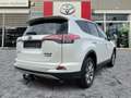 Toyota RAV 4 RAV4 2.5 Hybrid Executive AHK*Navi*360KAM*DAB*SHZ Белый - thumbnail 7