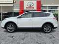 Toyota RAV 4 RAV4 2.5 Hybrid Executive AHK*Navi*360KAM*DAB*SHZ Белый - thumbnail 4